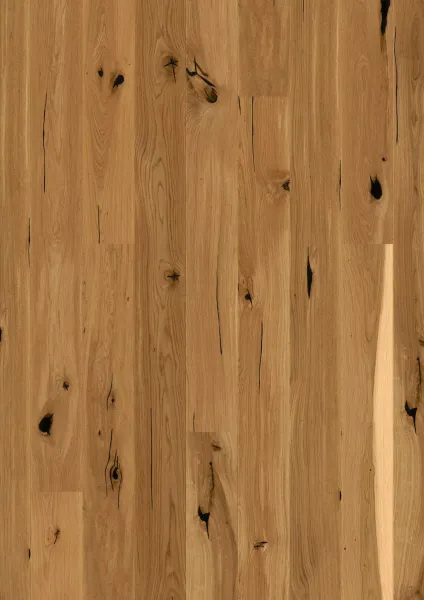 JOKA CALGARY 527 LD EDITION – E8913 Eiche geb. COUNTRY Naturöl